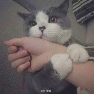 音律制作人手机版下载