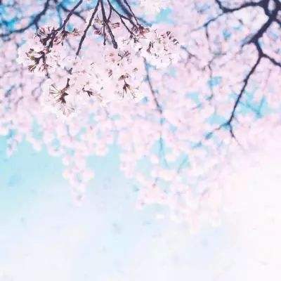 太空要塞手游
