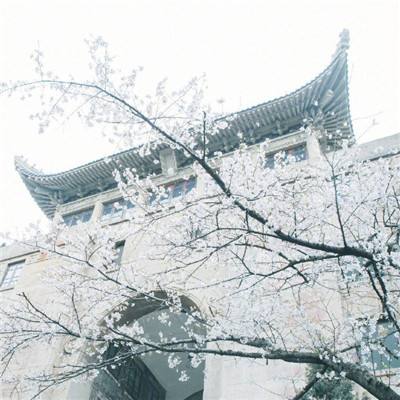 炎黄战纪九游版下载